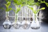 Dr. Oz’s 13 Natural Immunity Boosters